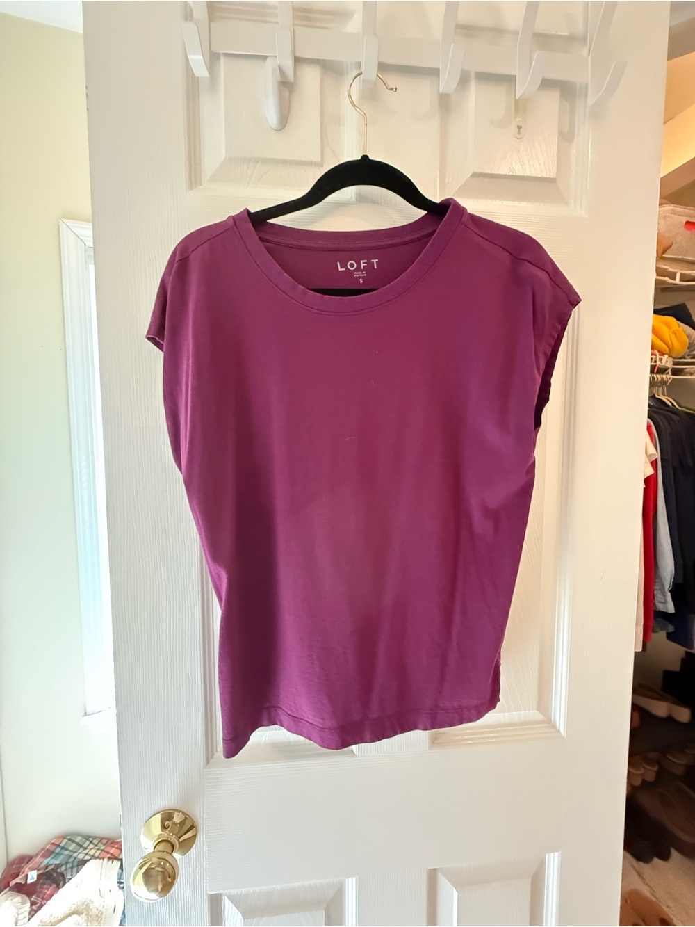 LOFT Women's Short Sleeve Crewneck Tee in Plum